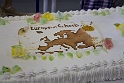 European Schools' Gala 2014 The 3rd Birthday